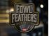 Picture of 6" Fowl Feathers Logo Decal